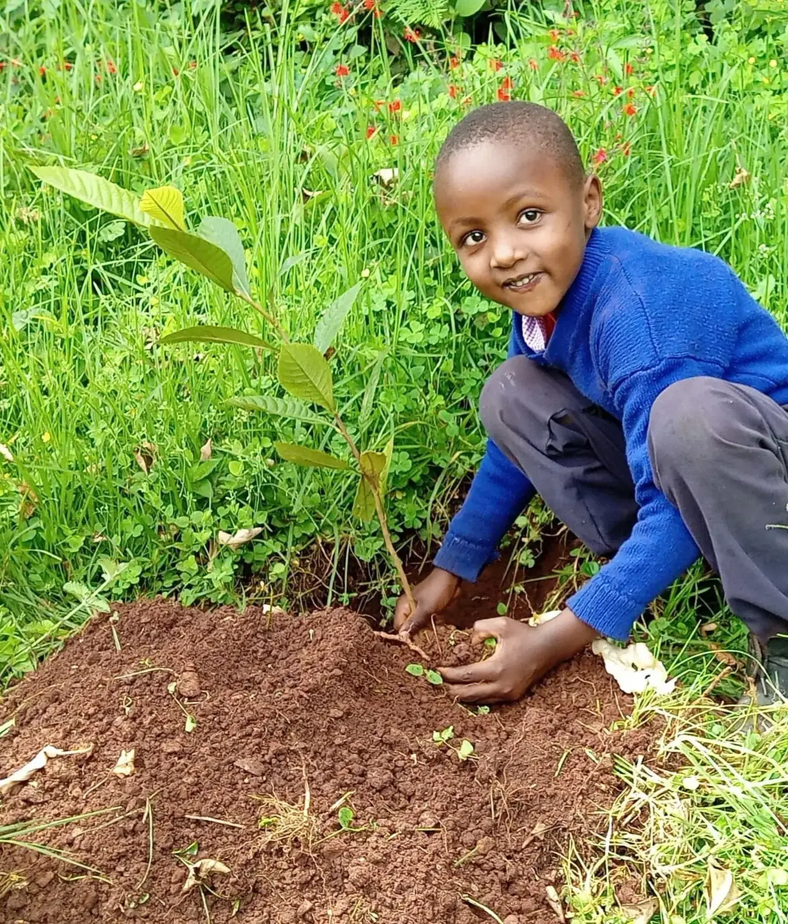 A locally led land restoration project
