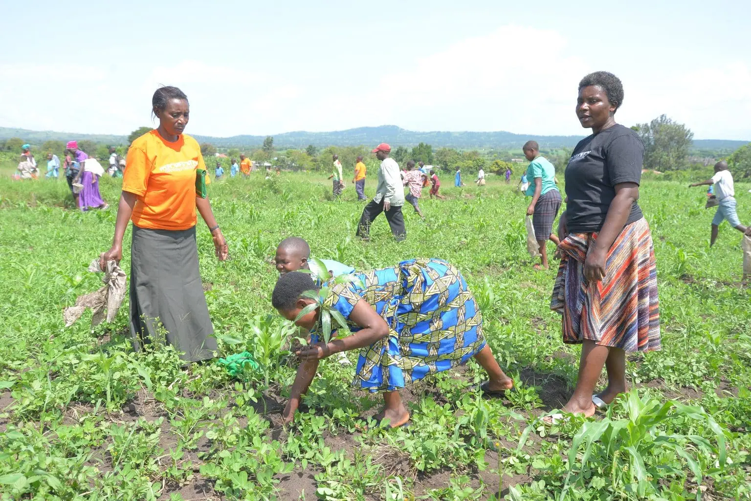 Community members preparing an agricultural field