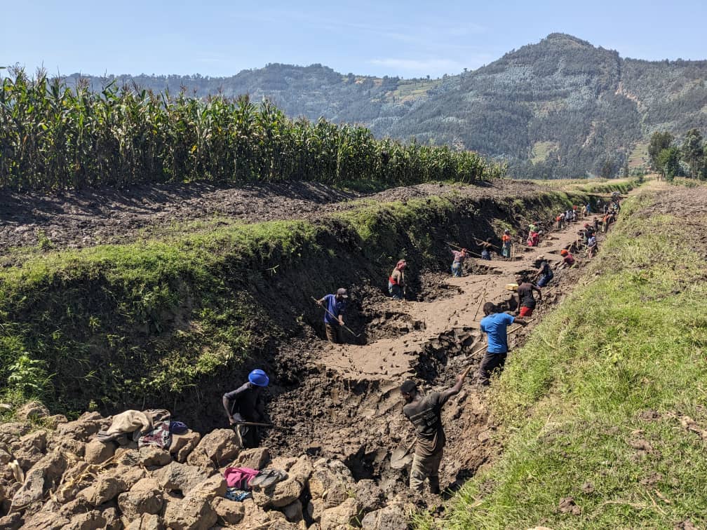 BioRestore Rwanda project landscape and community activity