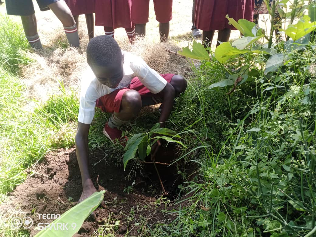 A participant planting a tree in Namsal Climate Concern community work