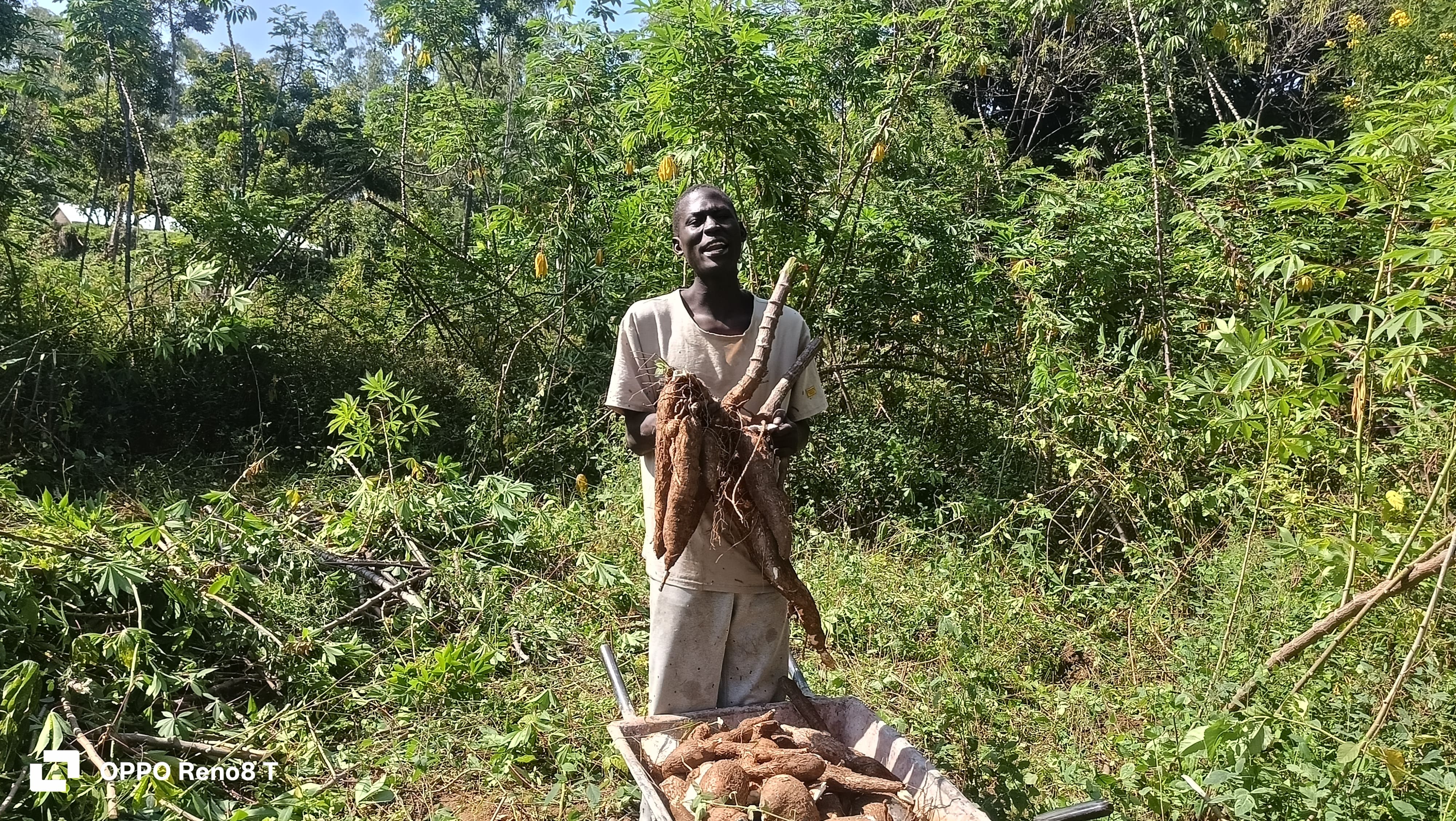 A K’ombija project participant in a growing landscape