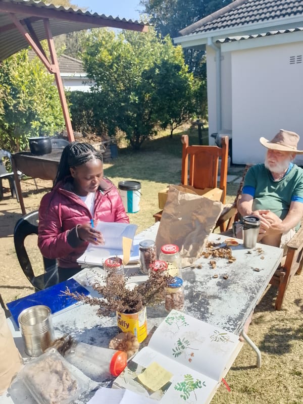 Two participants at an outdoor table with seeds, plant samples and reference books