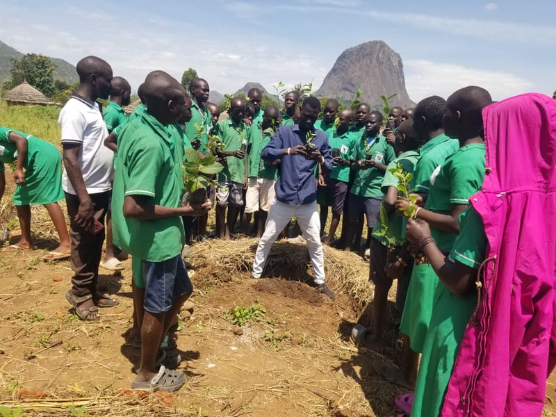 Participants holding seedlings during an outdoor planting demonstration
