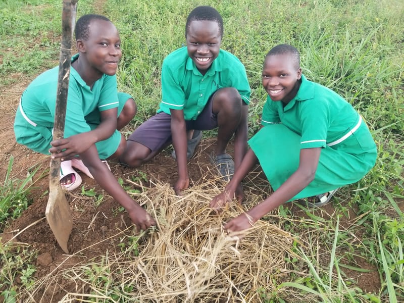 Three students arranging mulch around a planting area