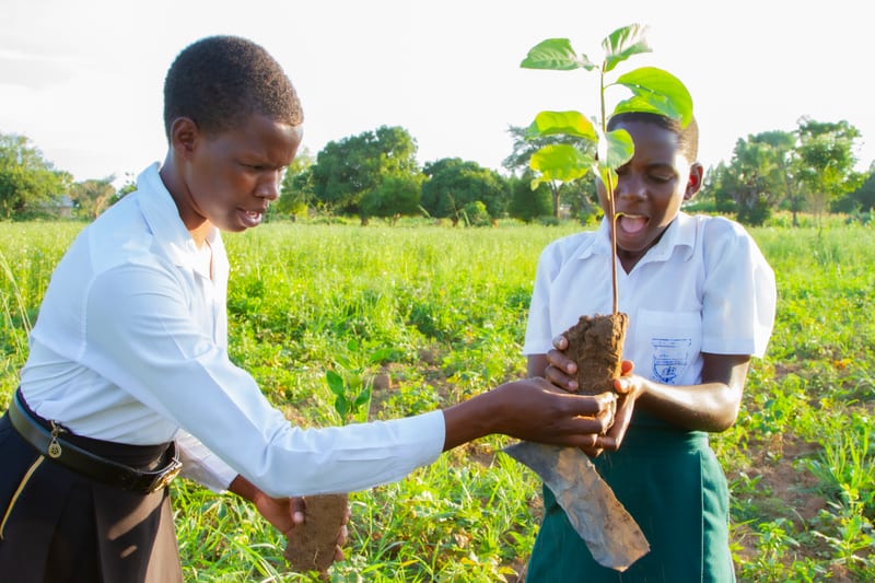 Two students holding young trees before planting